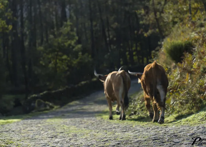 Casa Dona Florinda 홀리데이파크