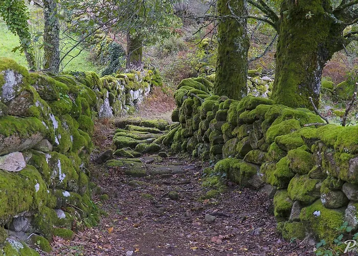 Casa Dona Florinda * Ermida (Braga)